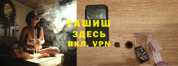 гидра Арсеньев