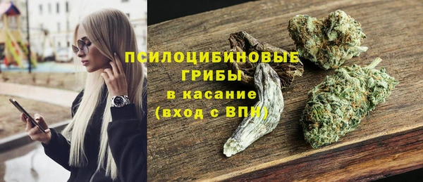 гидра Арсеньев