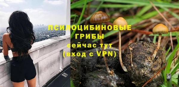 круглые Армянск