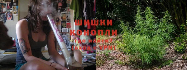 гидра Арсеньев