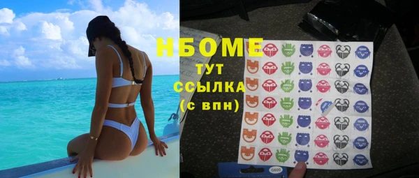 гидра Арсеньев