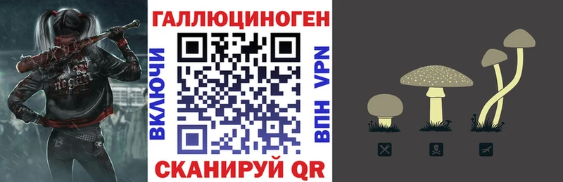 блэк спрут вход  как найти закладки  Нижний Ломов  Псилоцибиновые грибы прущие грибы 